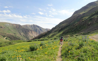 An Alpine Garden in Colorado | by Lisa Ballard